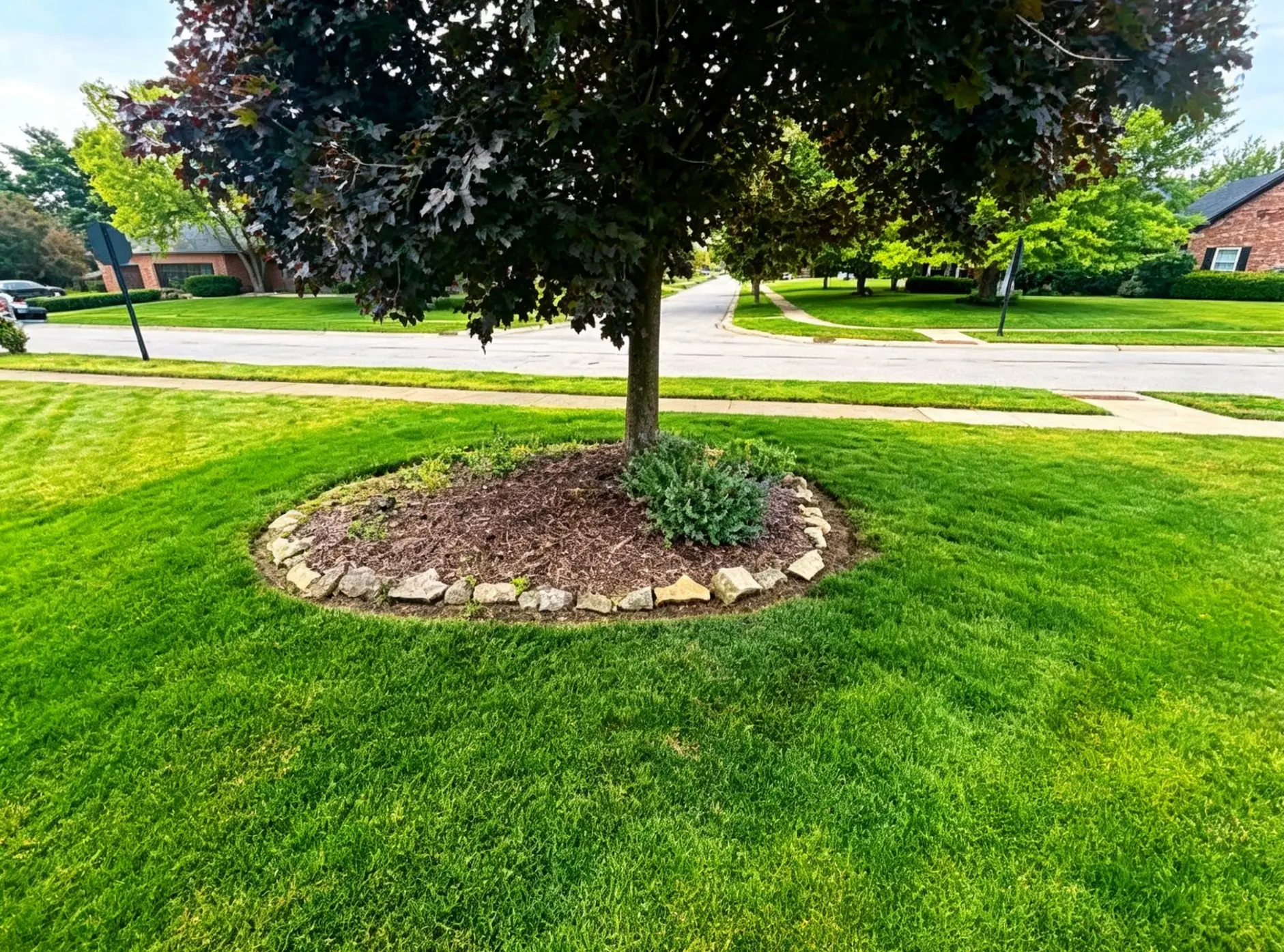 Circular mulched bed with stone edging around a mature shade tree in a front lawn